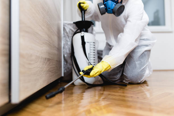 Best Pest Control Near Me  in Weston, WV