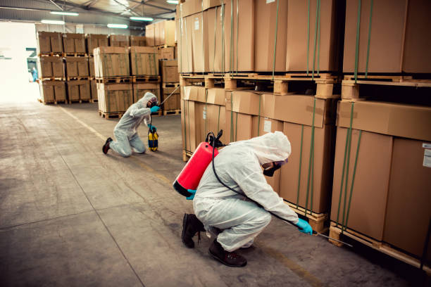 Best Termite Control Services  in Weston, WV