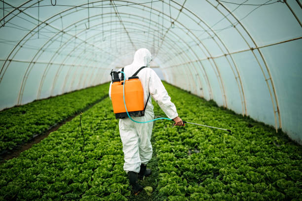 Best Residential Pest Control  in Weston, WV