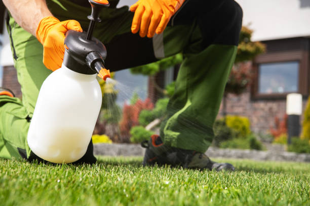 Best Best Pest Control Companies  in Weston, WV