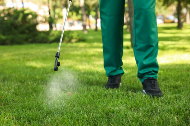 Best Cockroach Control Services  in Weston, WV