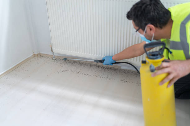 Best Best Pest Control Companies  in Weston, WV